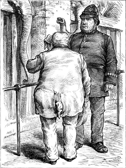 Odd sketches at the Zoological Society's Gardens: pachydermatous or thick-skinned animals, 1880. Creator: Unknown.