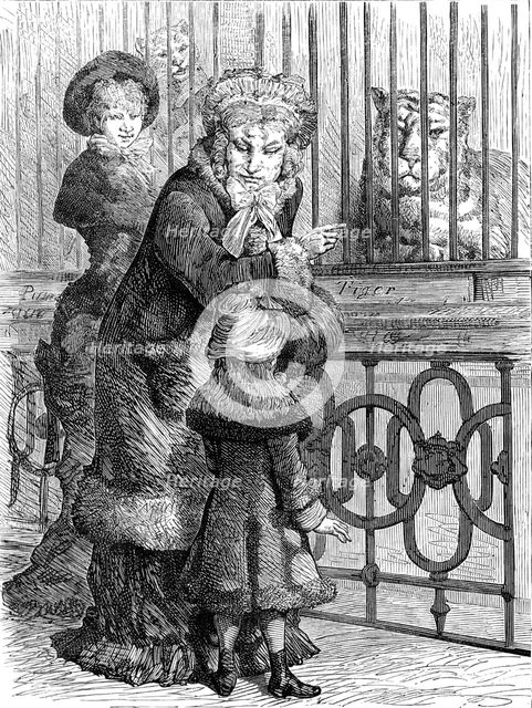 Odd sketches at the Zoological Society's Gardens: the cat family, 1880. Creator: Unknown.