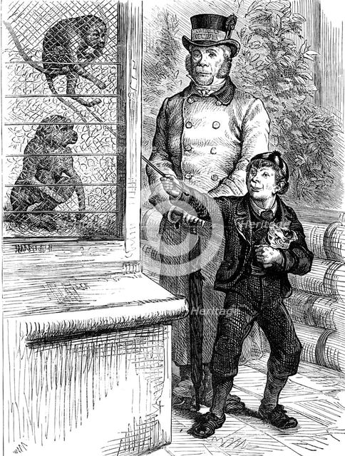 Odd sketches at the Zoological Society's Gardens: the monkeys, 1880. Creator: Unknown.