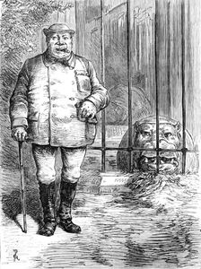 Odd sketches at the Zoological Society's Gardens: pachydermatous or thick-skinned animals, 1880. Creator: Unknown