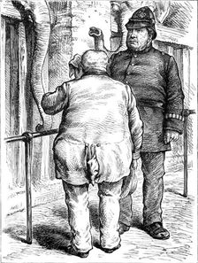 Odd sketches at the Zoological Society's Gardens: pachydermatous or thick-skinned animals, 1880. Creator: Unknown