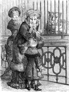 Odd sketches at the Zoological Society's Gardens: the cat family, 1880. Creator: Unknown