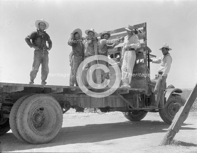 Off for the melon fields (Mexican labor), 1935. Creator: Dorothea Lange.