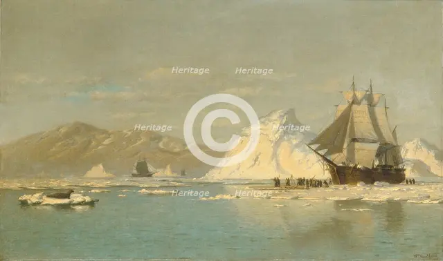 Off Greenland—Whaler Seeking Open Water. Creator: William Bradford.