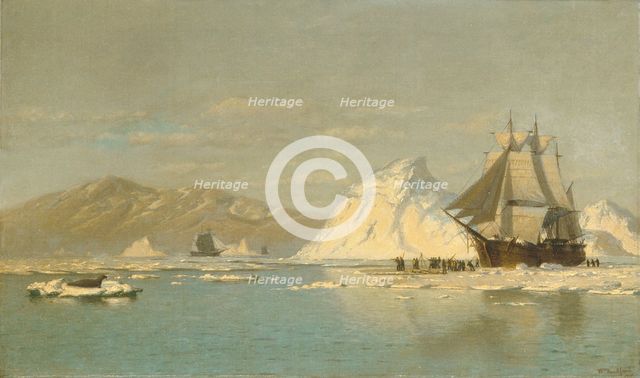 Off Greenland—Whaler Seeking Open Water. Creator: William Bradford.