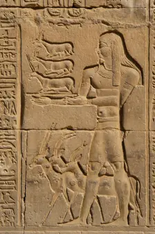 Offerer relief, Temple of Kom Ombo, Egypt, Ptolemaic Dynasty, 2nd century BC (2023). Creator: Unknown