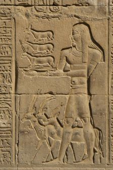 Offerer relief, Temple of Kom Ombo, Egypt, Ptolemaic Dynasty, 2nd century BC (2023). Creator: Unknown