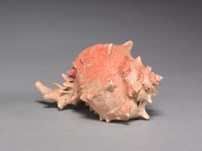 Offering Group: Large Shell, c. 800-1200(?). Creator: Unknown