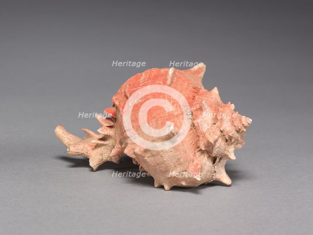 Offering Group: Large Shell, c. 800-1200(?). Creator: Unknown.
