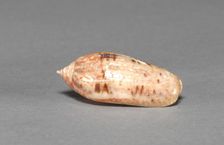 Offering Group: Small Shell, c. 800-1200(?). Creator: Unknown