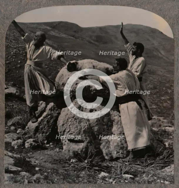 'Offering sacrifice of lamb on Altar, Moreh', c1900. Artist: Unknown.