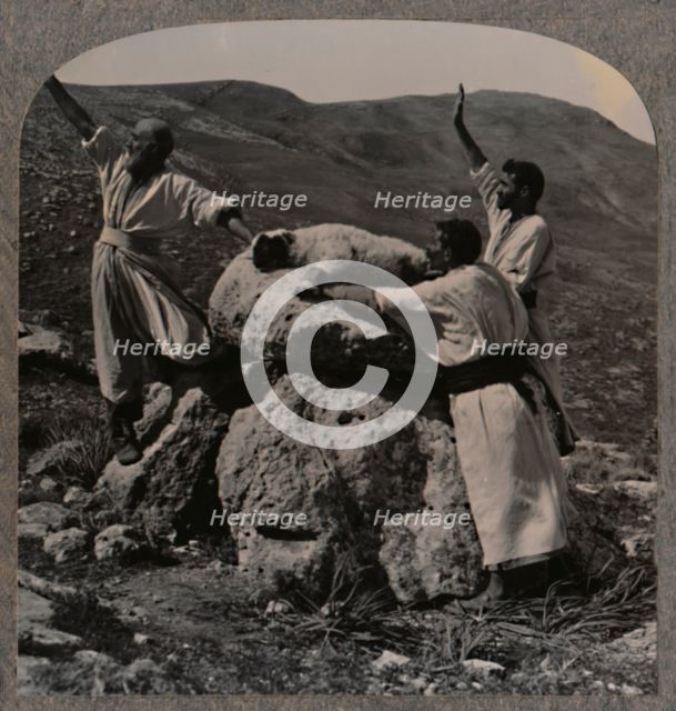 'Offering sacrifice of lamb on Altar, Moreh', c1900. Artist: Unknown.