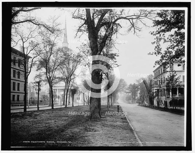 Oglethorpe Avenue, Savannah, Ga., c1900. Creator: Unknown.