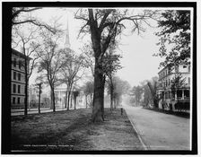 Oglethorpe Avenue, Savannah, Ga., c1900. Creator: Unknown