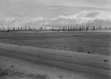 Oil fields, Kern County, California, 1938. Creator: Dorothea Lange
