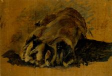 Oil sketch of a lion's paw, c1820s. Creator: John Frederick Lewis