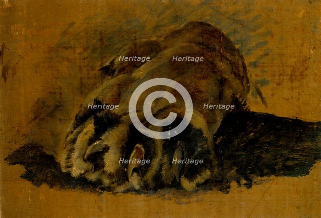 Oil sketch of a lion's paw, c1820s. Creator: John Frederick Lewis.