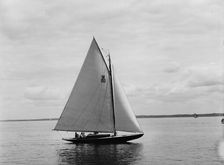 Oiseau, 1899 June 17. Creator: John S Johnston