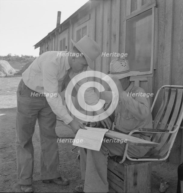 Oklahoma farmer, now living in Cow Hollow, is a FSA borrower, Malheur County, Oregon, 1939 Creator: Dorothea Lange.