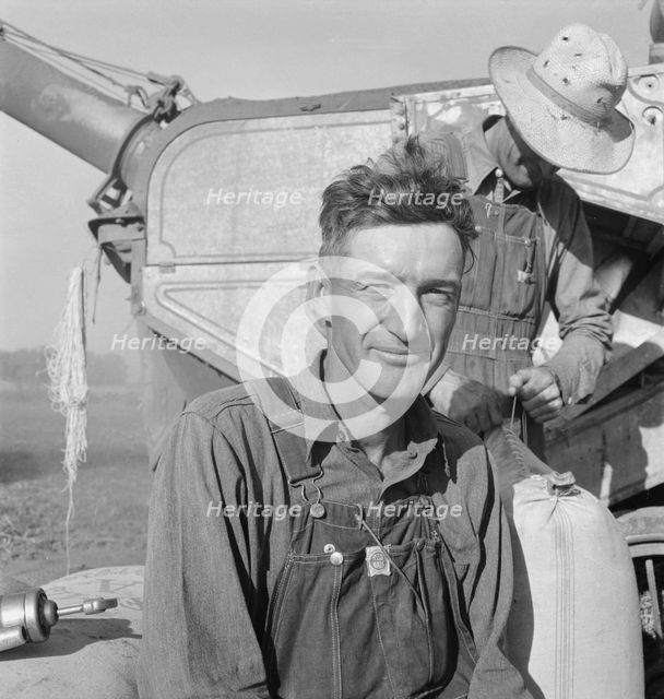 Oklahoman, worked three years as farm laborer..., near Ontario, Malheur County, Oregon, 1939. Creator: Dorothea Lange.