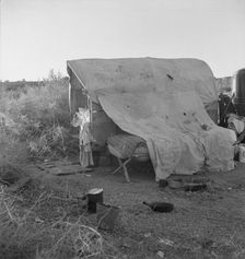 Oklahomans encamped on a river bottom near Holtville, California, 1937. Creator: Dorothea Lange