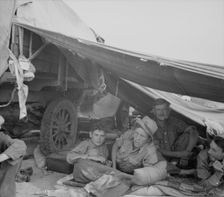 Oklahomans in potato pickers camp near Shafter, California, 1937. Creator: Dorothea Lange