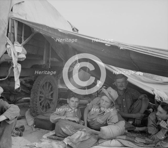 Oklahomans in potato pickers' camp near Shafter, California, 1937. Creator: Dorothea Lange.