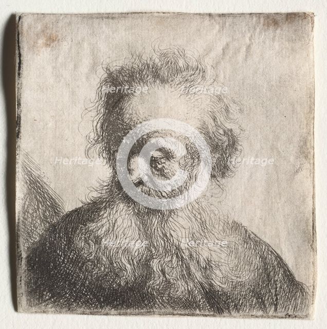 Old Man with a Flowing Beard: Bust, 1631. Creator: Rembrandt van Rijn (Dutch, 1606-1669).