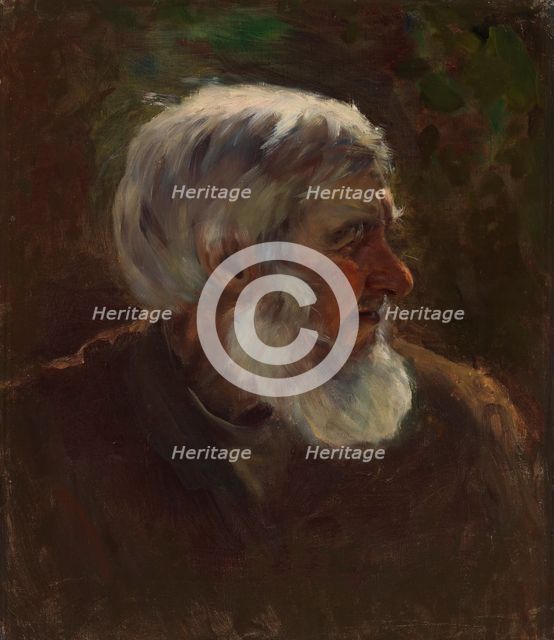 Old Man in Profile, sketch for the painting Fairy Tale Princess, c1895-1896. Creator: Torsten Wasastjerna.