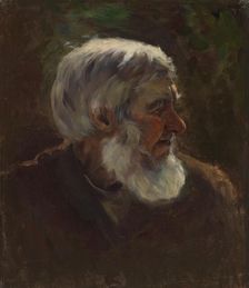 Old Man in Profile, sketch for the painting Fairy Tale Princess, c1895-1896. Creator: Torsten Wasastjerna