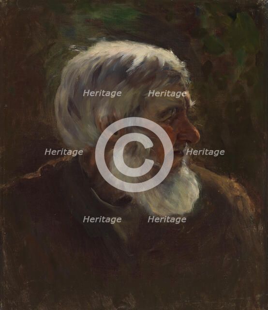 Old Man in Profile, sketch for the painting Fairy Tale Princess, c1895-1896. Creator: Torsten Wasastjerna.