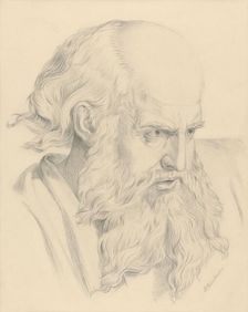 Old man's head, 1879. Creator: Vojtech Klimkovic