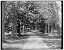 Old Manse from the highway, Concord, Massachusetts, between 1890 and 1901. Creator: Unknown