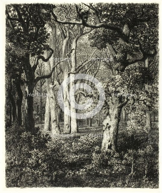 Old Oaks at Bas Bréau, c. 1865. Creator: Adolphe Martial Potemont.