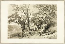 Old Oaks, from The Park and the Forest, 1841. Creator: James Duffield Harding