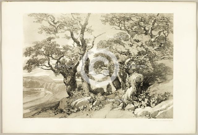 Old Oaks, from The Park and the Forest, 1841. Creator: James Duffield Harding.