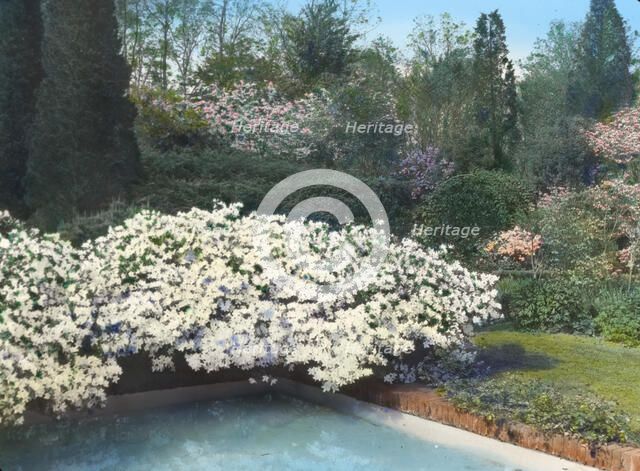 "Old Acres," Robert Low Bacon house, Old Westbury, New York, 1921. Creator: Frances Benjamin Johnston.