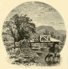 Old Bridge, Blackberry River, near Canaan 1874. Creator: John J. Harley