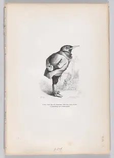 Old, broken, haggard, whimsical, yet good, yet dedicated, and domestic by temperame..., ca. 1837-47. Creator: Charles Tamisier