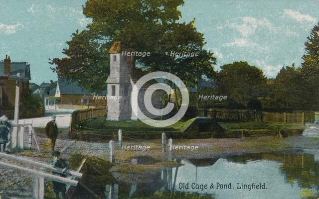 Old cage and pond, Lingfield, Surrey, c1905. Artist: Unknown.