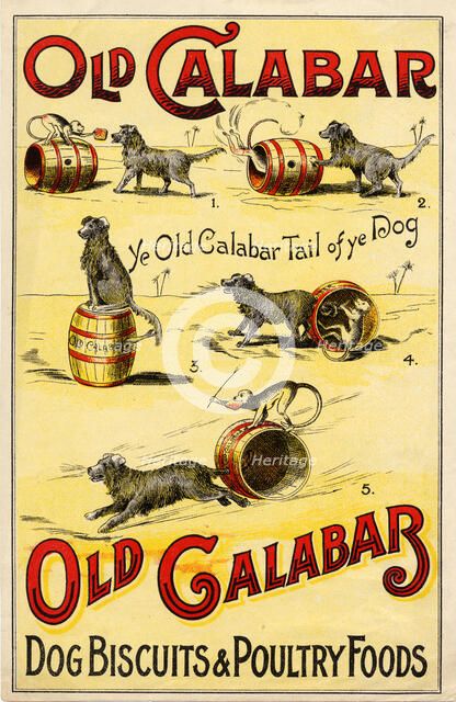 Old Calabar Dog Biscuits, c.1900. Artist: Unknown