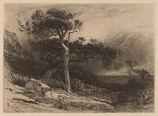 Old Cedars, Coast of Maine, 1880. Creator: James David Smillie