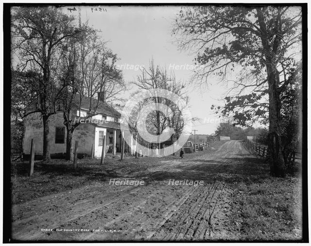 Old country road, Far Hills, N.J., c1900. Creator: Unknown.