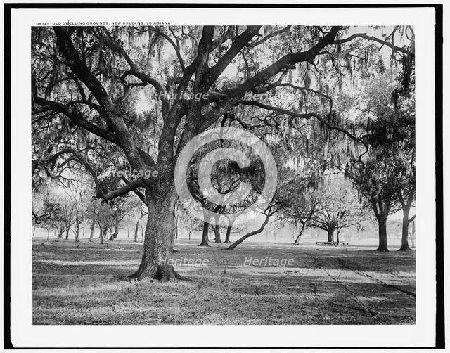 Old duelling grounds, New Orleans, Louisiana, c1900. Creator: Unknown.