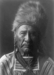Old Dog-Apsaroke, c1908. Creator: Edward Sheriff Curtis