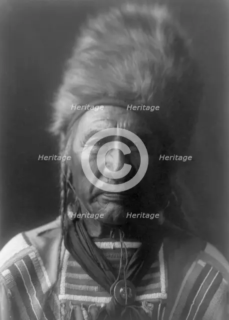 Old Dog-Apsaroke, c1908. Creator: Edward Sheriff Curtis.