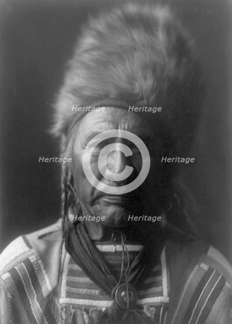 Old Dog-Apsaroke, c1908. Creator: Edward Sheriff Curtis.