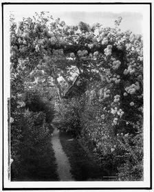 Old fashioned gardens, Lawson estate, Dreamwold, Egypt, Mass., between 1900 and 1920. Creator: Unknown