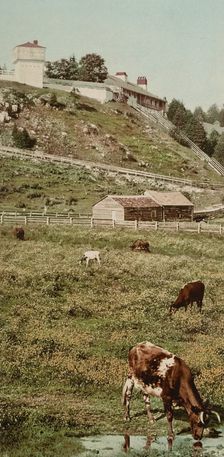 Old Fort Mackinac from the pasture, ca 1900. Creator: Unknown