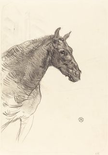 Old Horse (Le vieux cheval), 1897. Creator: Henri de Toulouse-Lautrec
